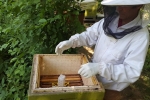 Kurzzeitbehandlung am Bienenstand 3
