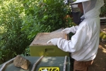 Kurzzeitbehandlung am Bienenstand 4