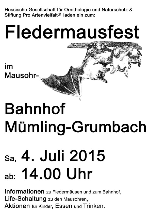 Fledermausfest im Mausohrbahnhof Mümling-Grumbach