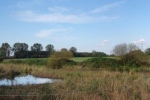 Landbachaue - Birdwatching 08