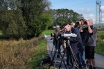 Landbachaue - Birdwatching 09