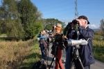Landbachaue - Birdwatching 10
