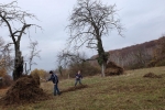 Einsatz Dollackerweide 02