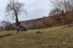Einsatz Dollackerweide 03