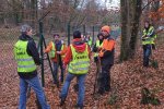 Aktion-Krötenzaun-B3-Krötenklappe-02-10x15s
