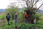 Steinkauzröhren bei Bickenbach 5