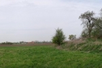Steinkauzröhren bei Motte Wellberg 1