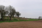 Steinkauzröhren bei Motte Wellberg 2