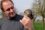 Steinkauzröhren bei Pfungstadt mit Kauz 03