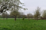 Steinkauzröhren bei Pfungstadt 06