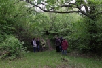 Vogelstimmenwanderung 4