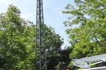 Storchenberingung-Hähnlein-02