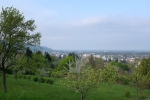 Panorama Blütenhang Seeheim