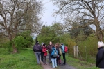 Vogelstimmenwanderung 3