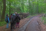 Vogelstimmenwanderung 4