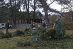 05 Arbeitseinsatz Christbaumhecke