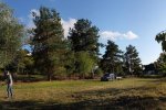 Einsatz-Bienenweide-07-10x24s