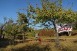 Einsatz-Bienenweide-11-10x17s