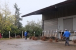 Vorbereitung NABU-Obstbaumaktion 11