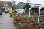 Vorbereitung NABU-Obstbaumaktion 14