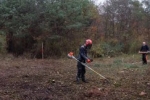 Malcher Tann 19