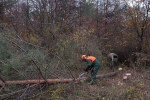 Malcher Tann 21