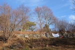 Einsatz am Weinberg 08