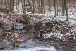 Lindwurmteich 02