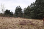 Pfadfinderweide 2