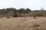Pfadfinderweide 3
