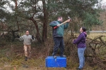 Zaunarbeiten 2