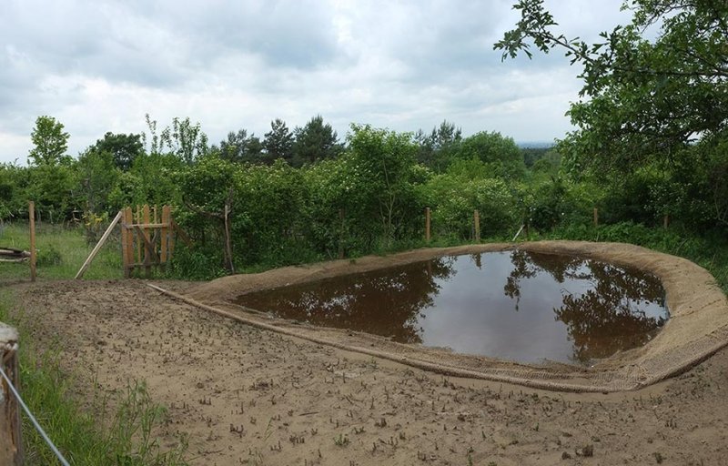 Neuer Teich im Wühlmausgarten mit Sedum