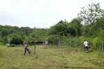 Pflegeeinsatz-Im-Hakel-13-10x14s
