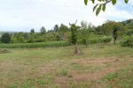 Pflegeeinsatz-Im-Hakel-25-10x40s