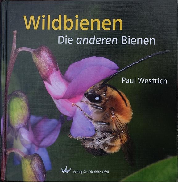 Wildbienenexkursion Tischendorf - Buchempfehlung 3 10x10s