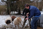Bock-Transport 1