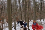 Waldwanderung mit Schafen 06