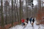 Weg zu den Etzwiesen 01