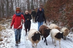 Weg zu den Etzwiesen 06