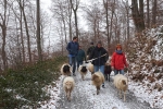 Weg zu den Etzwiesen 07