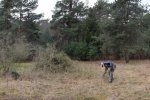 Aktion-Steinmetzweide-03-10x26s