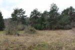 Aktion-Steinmetzweide-05-10x20s