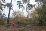 Einsatz Bickenbacher Düne 10