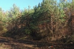 Vermessung Teich Malcher Tanne 04