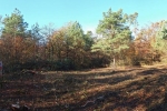 Vermessung Teich Malcher Tanne 10