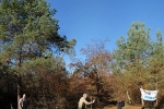 Vermessung Teich Malcher Tanne 21