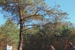 Vermessung Teich Malcher Tanne 22