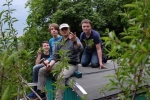 Hühnerstalldach Abschlussbild 1