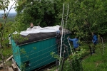Hühnerstalldach abdecken 2