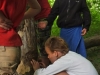 Biberspuren 2